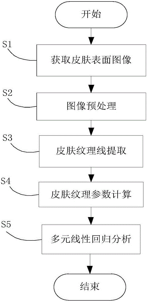 Skin image information processing-based age testing method