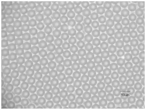 A kind of preparation method of perovskite micro ring array