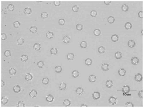 A kind of preparation method of perovskite micro ring array