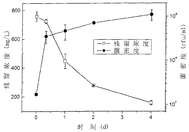 Diesel oil alkane component degradation bacterium and application thereof