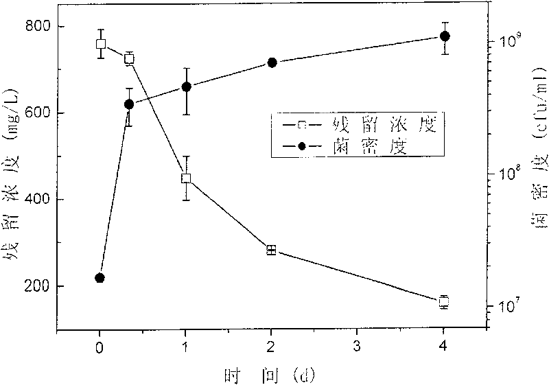 Diesel oil alkane component degradation bacterium and application thereof