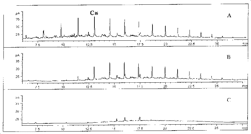 Diesel oil alkane component degradation bacterium and application thereof