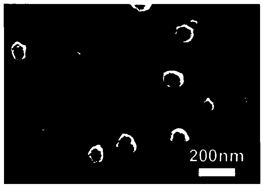 Preparation method of silk fibroin lyophilized powder