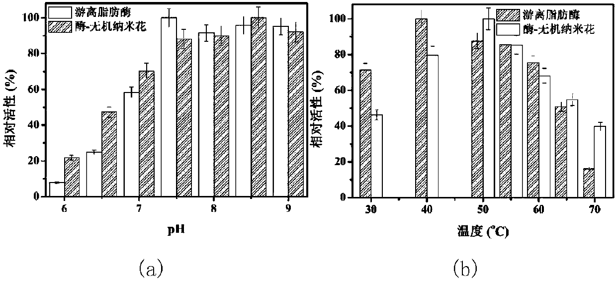 A porcine pancreatic lipase-inorganic hybrid nanoflower catalyst, a preparing method thereof, and applications of the catalyst in biodiesel preparation