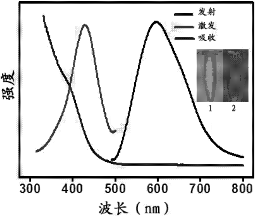 Fluorescent gold nano-clusters based method for detecting ROS in cells