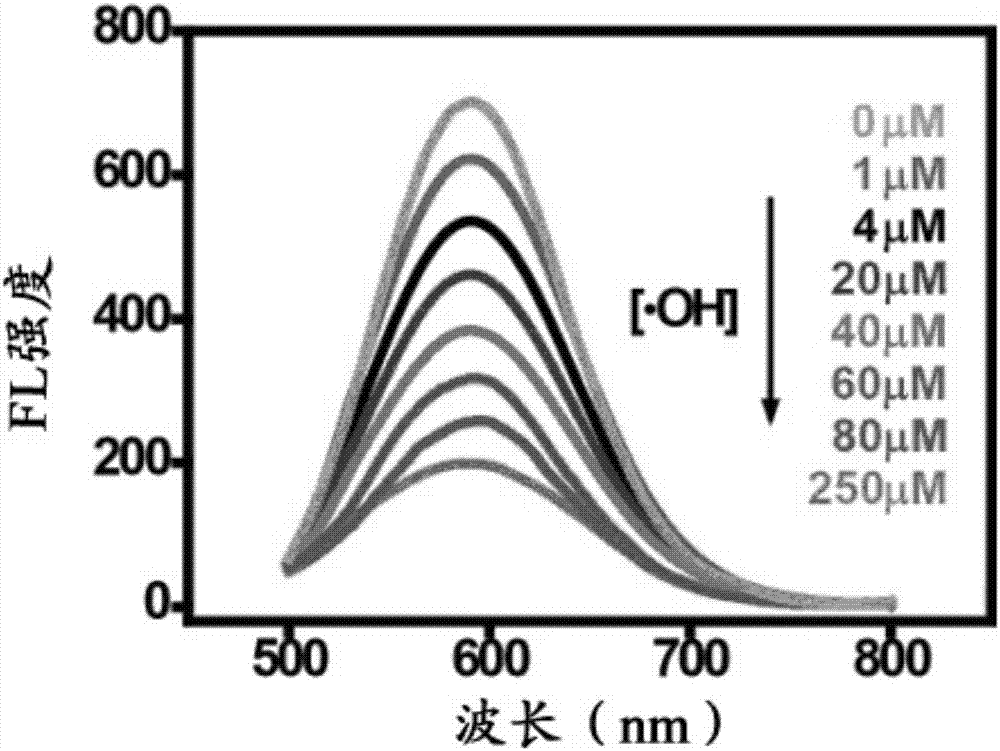 Fluorescent gold nano-clusters based method for detecting ROS in cells