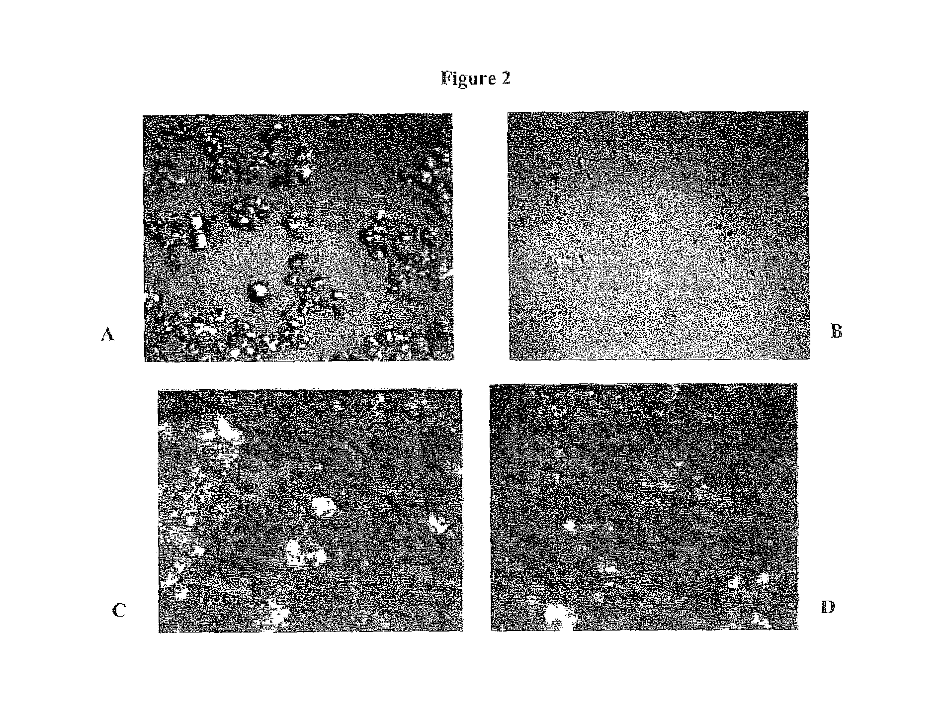 Topical formulations of tellurium-containing compounds