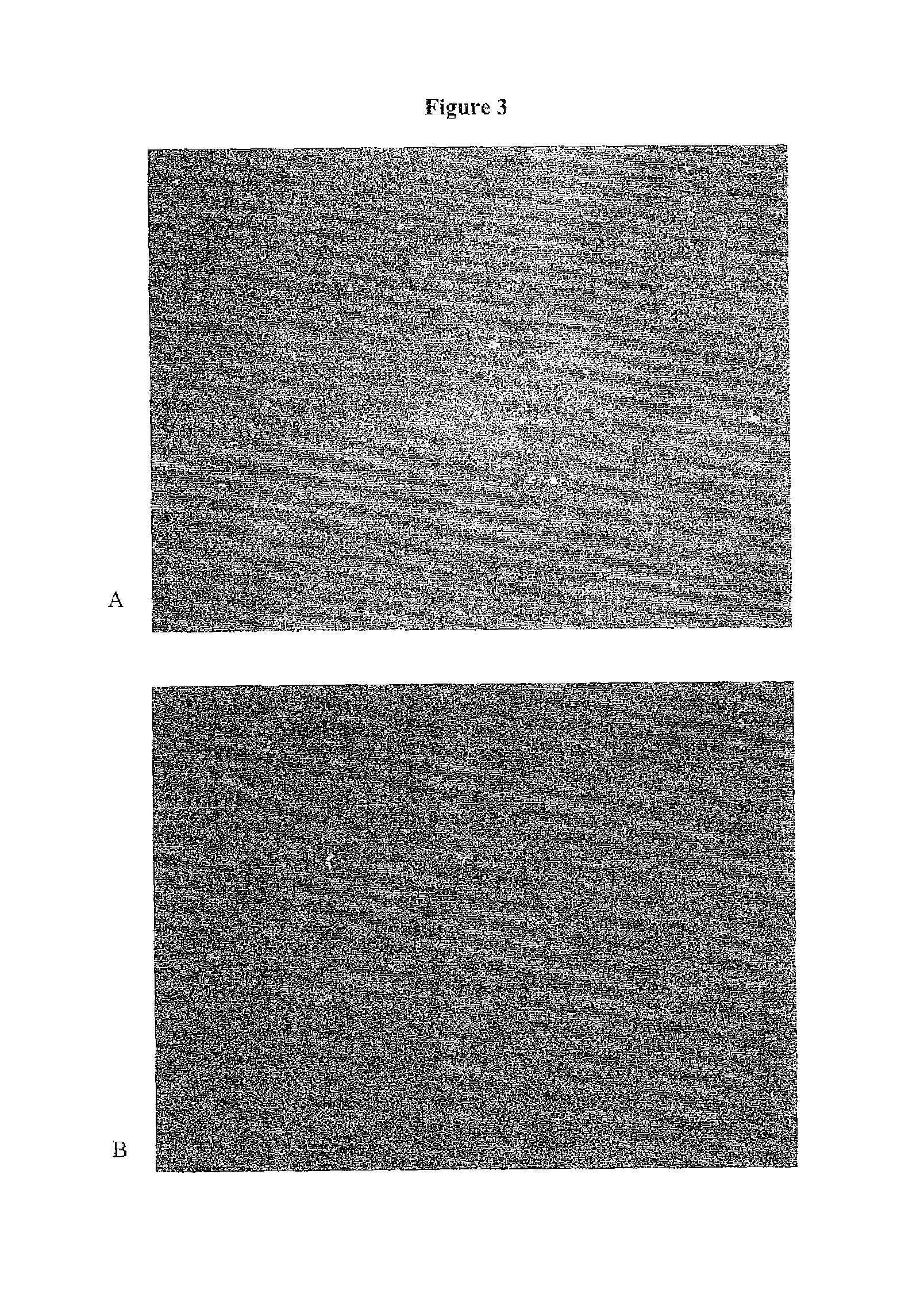 Topical formulations of tellurium-containing compounds