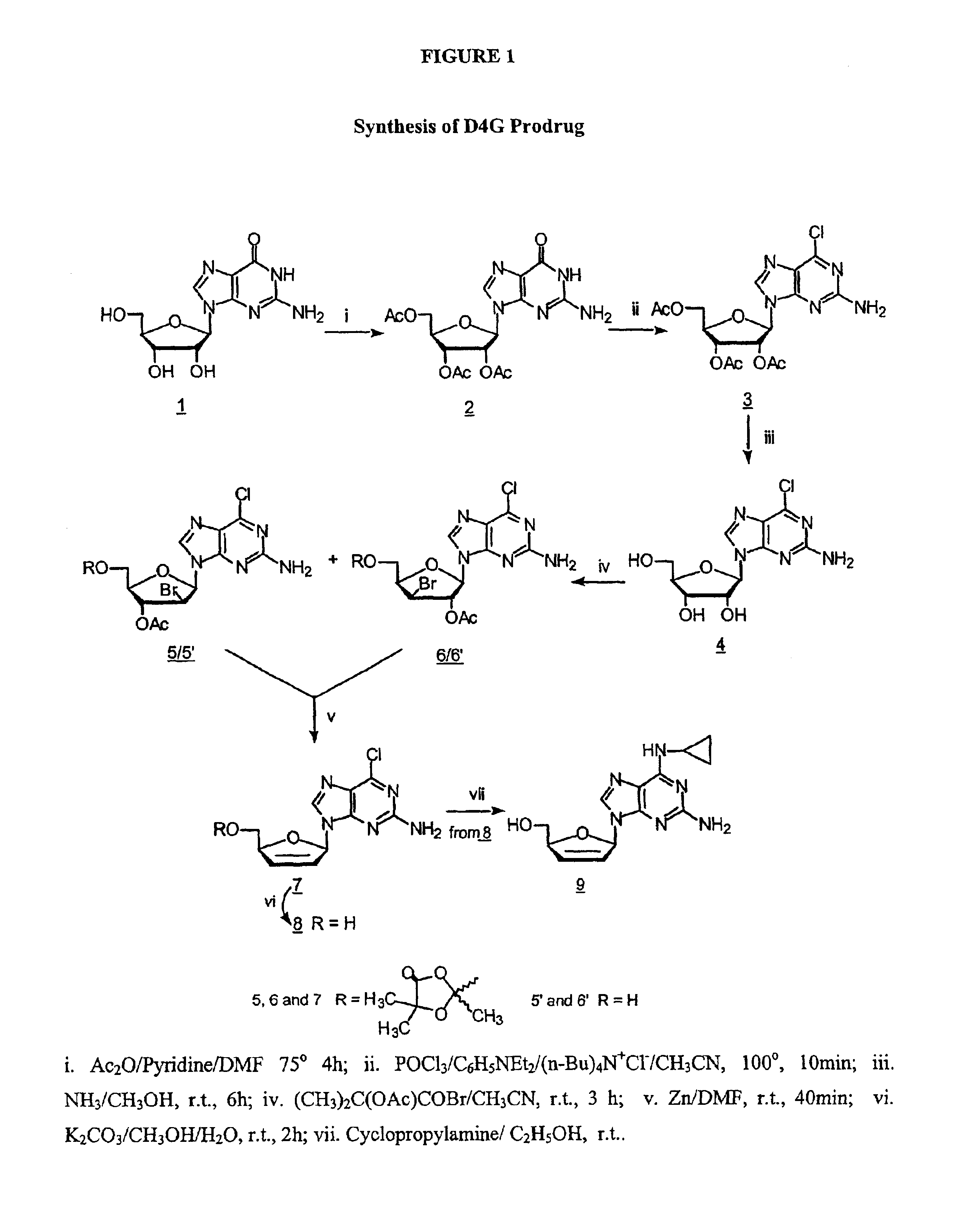 2-amino-9H-purin-9-yl compounds and methods for inhibiting/treating HIV infections and AIDS related symptoms