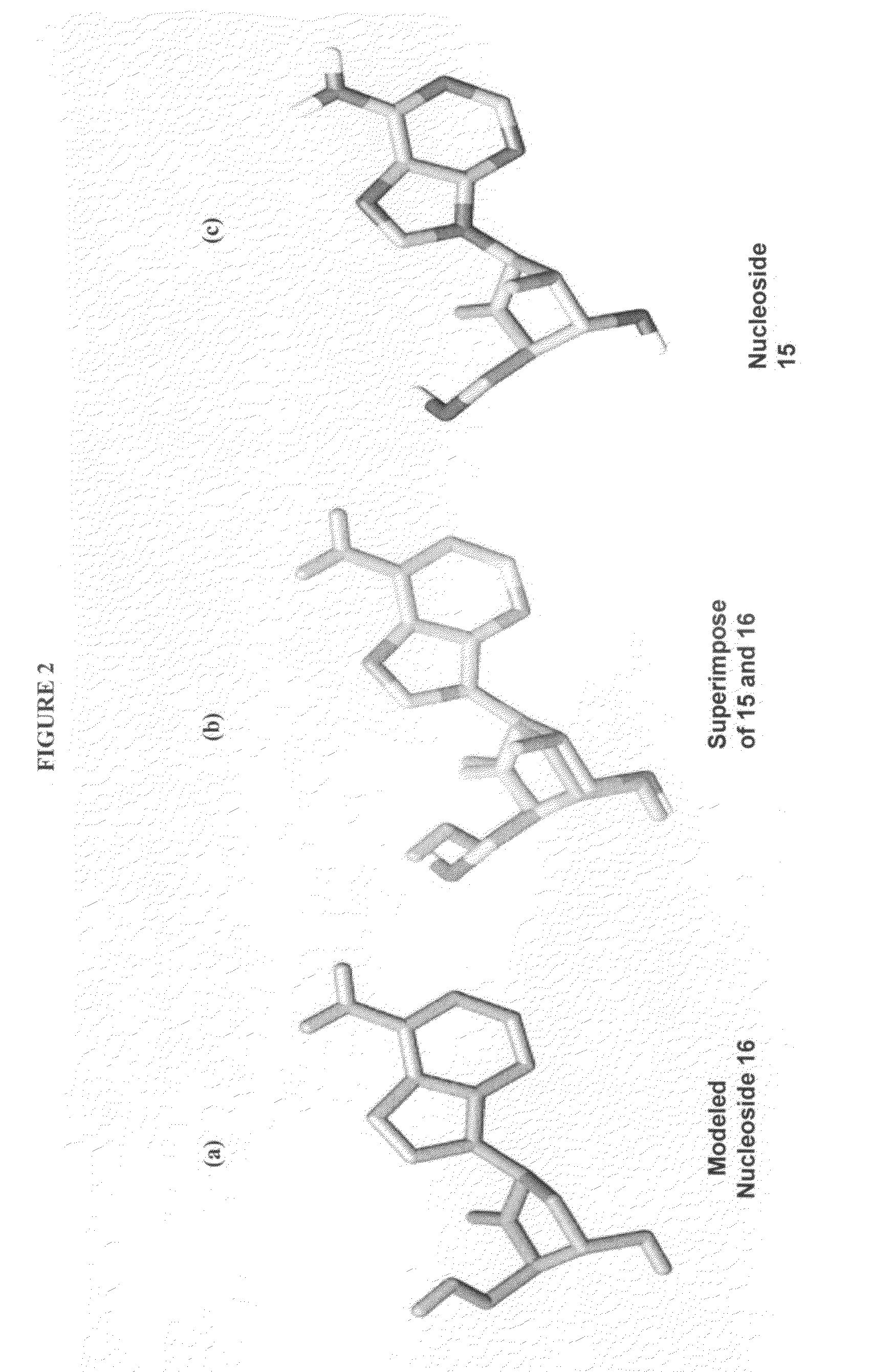 2′-fluoro-6′-methylene carbocyclic nucleosides and methods of treating viral infections