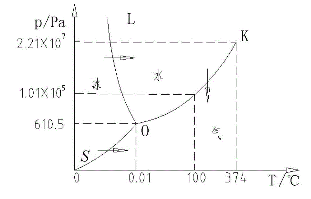 Continuous vacuum quick freezing device and continuous vacuum quick freezing method for foods