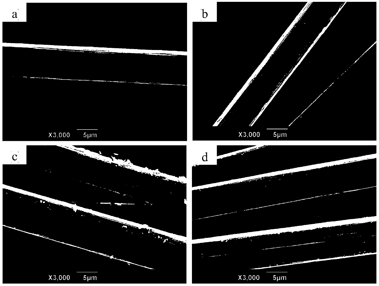 Preparation method of carbon cloth with nanoparticle modified surface