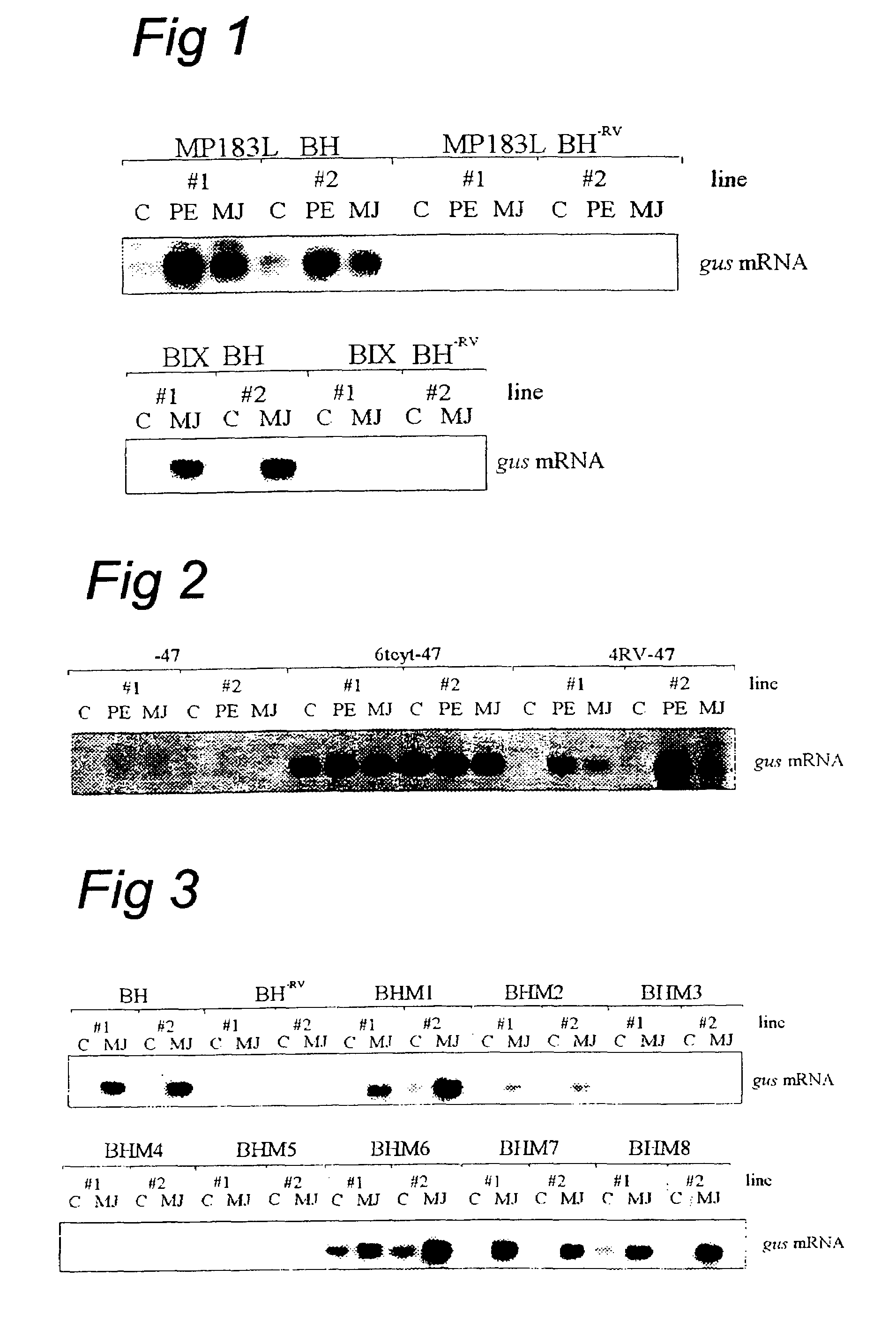 Method of modulating metabolite biosynthesis in recombinant cells