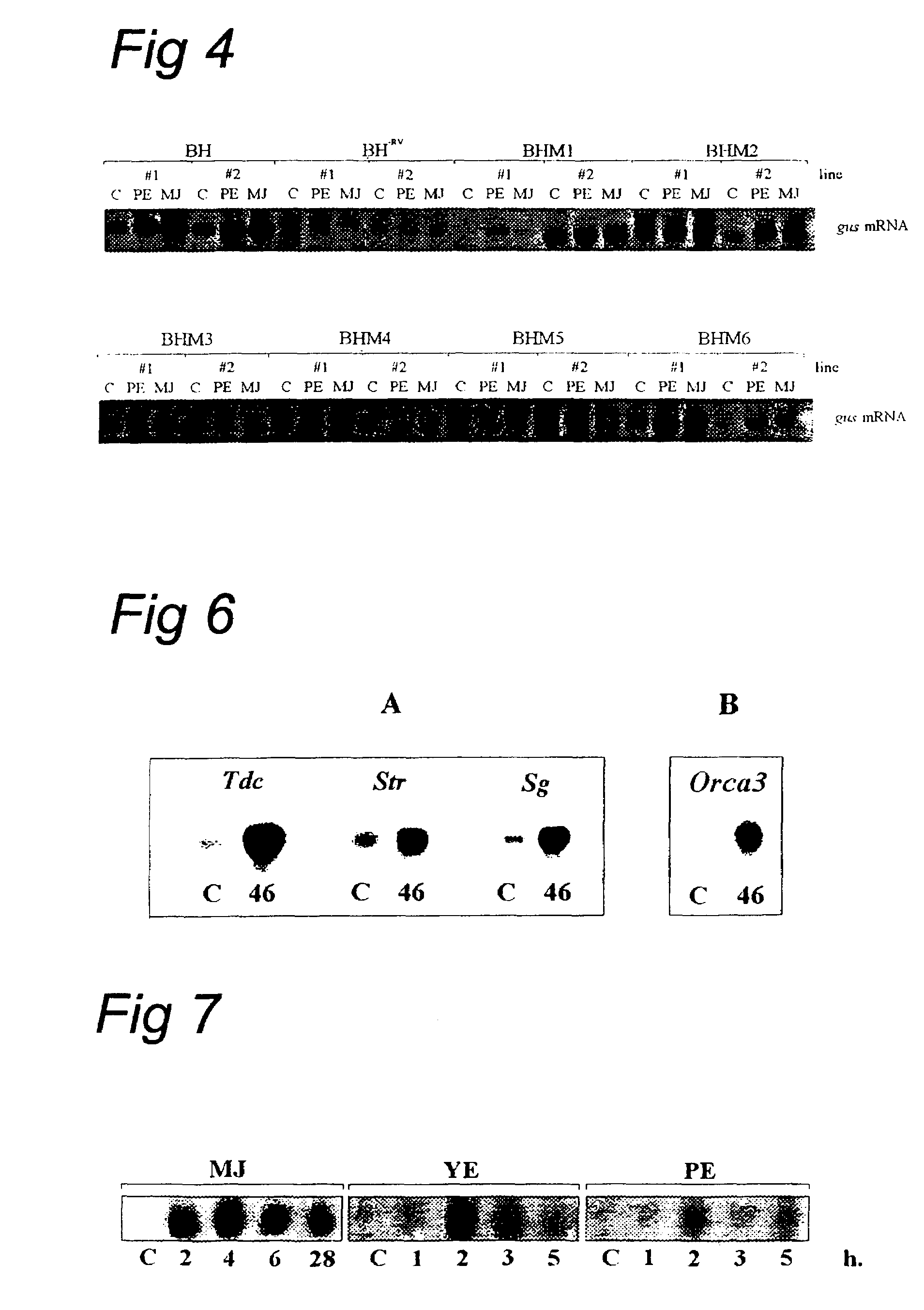 Method of modulating metabolite biosynthesis in recombinant cells