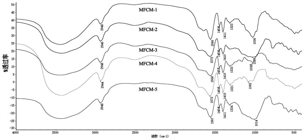 Method for preparing multifunctional composite material from caragana korshinskii and graphite tailings