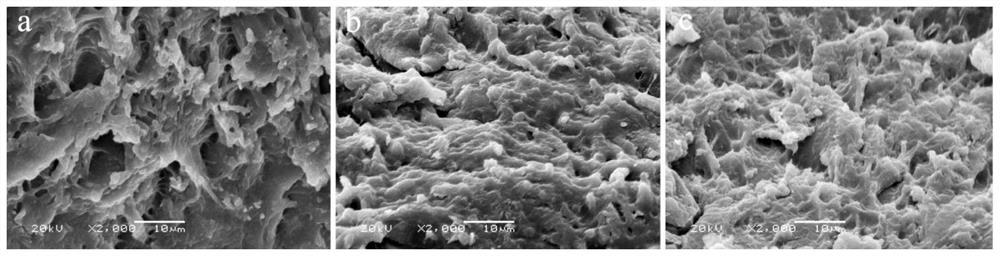 Method for preparing multifunctional composite material from caragana korshinskii and graphite tailings