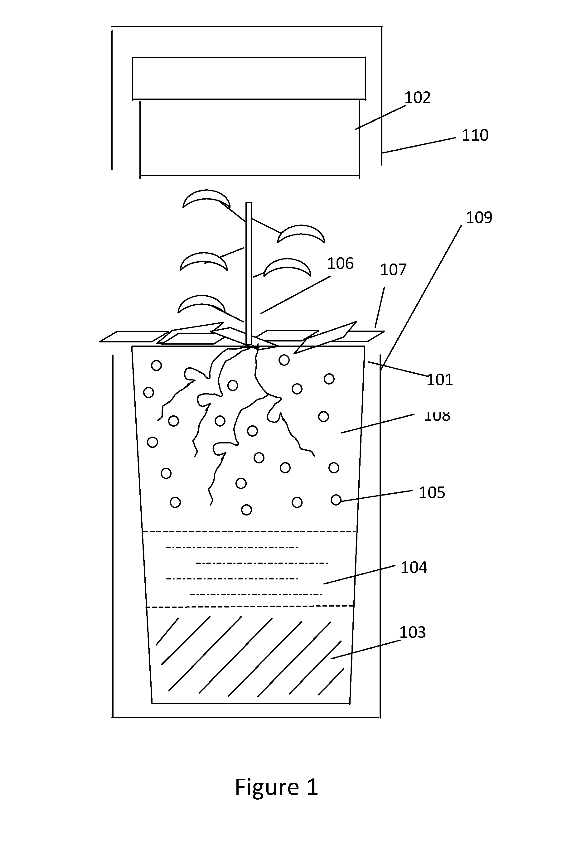 Biodegradable Urn Planting System