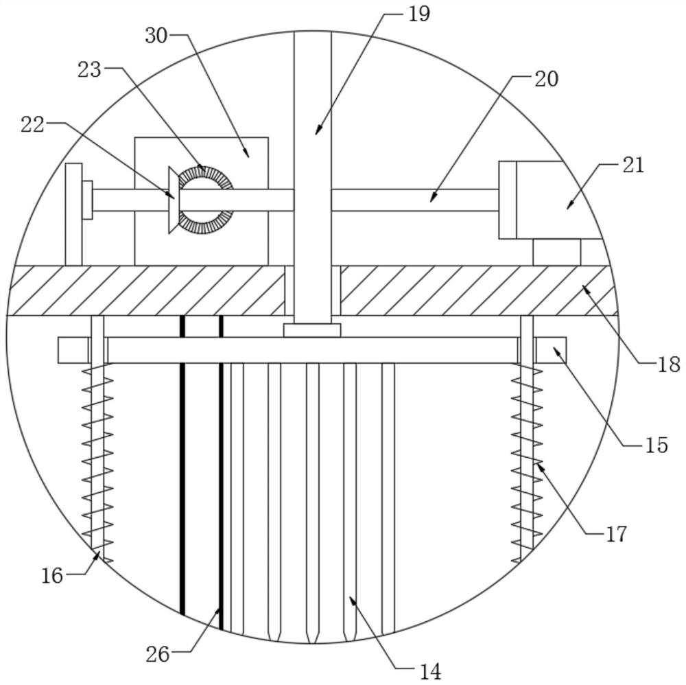 Slitting device for dried kiwi fruit processing