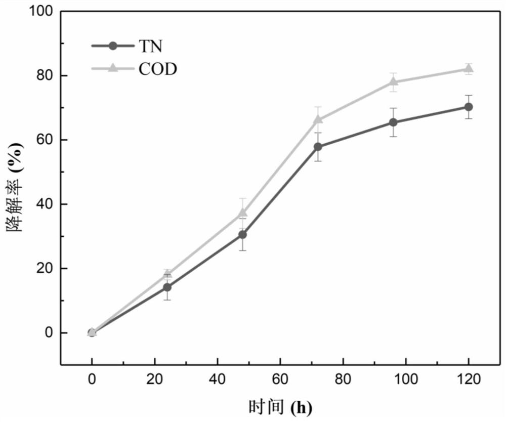 Salt-tolerant alkali-resistant aerobic denitrifying bacterium and application thereof