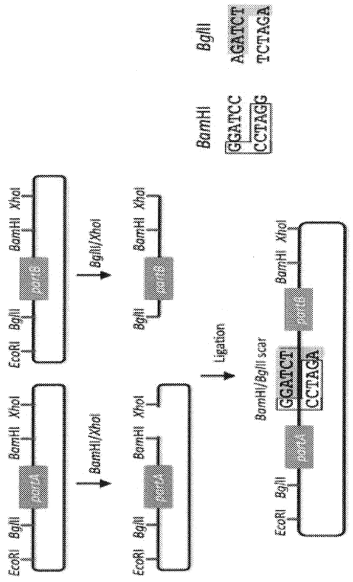 Scar-less multi-part DNA assembly design automation