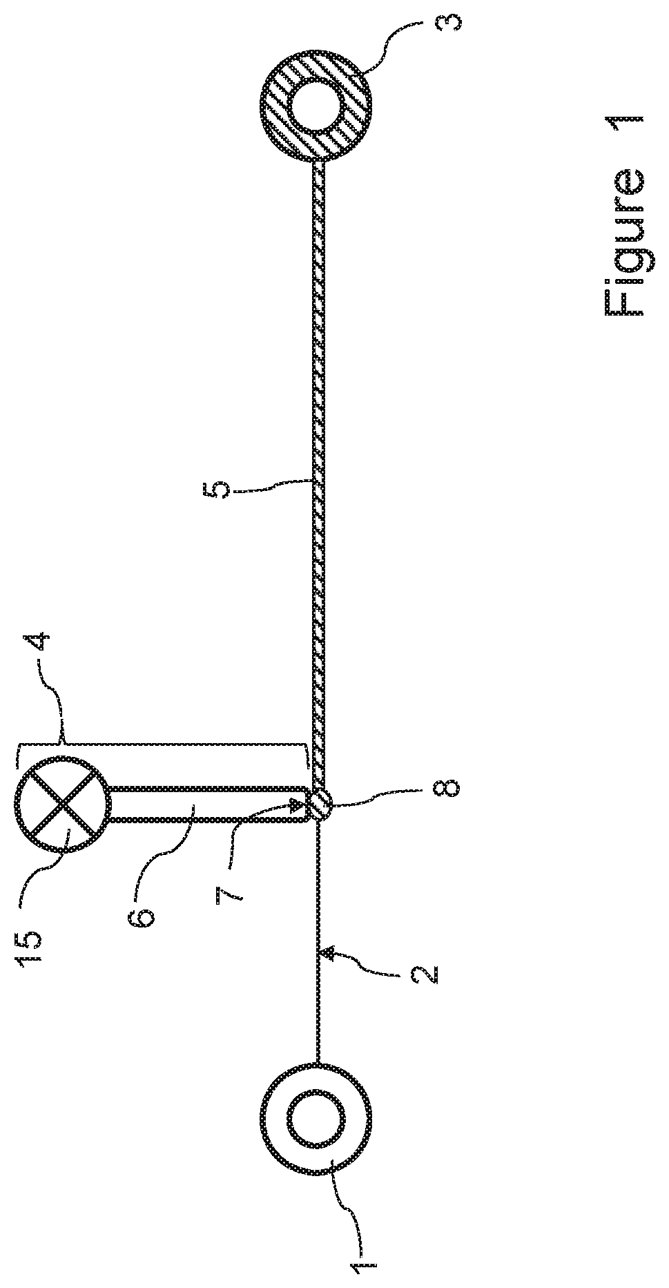 Process for providing a culture of microorganisms to an elongated element