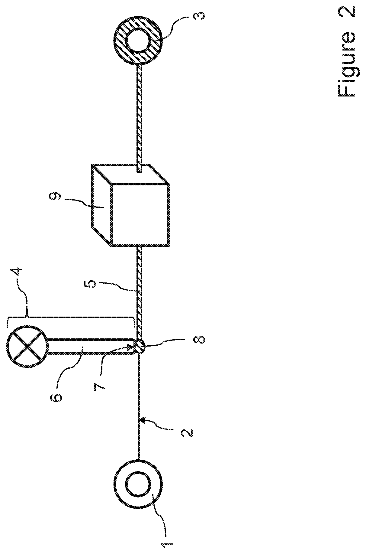 Process for providing a culture of microorganisms to an elongated element