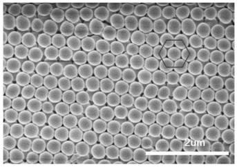 Photonic crystal sensor and method for rapidly detecting pesticide residues in fruits and vegetables by using sensor