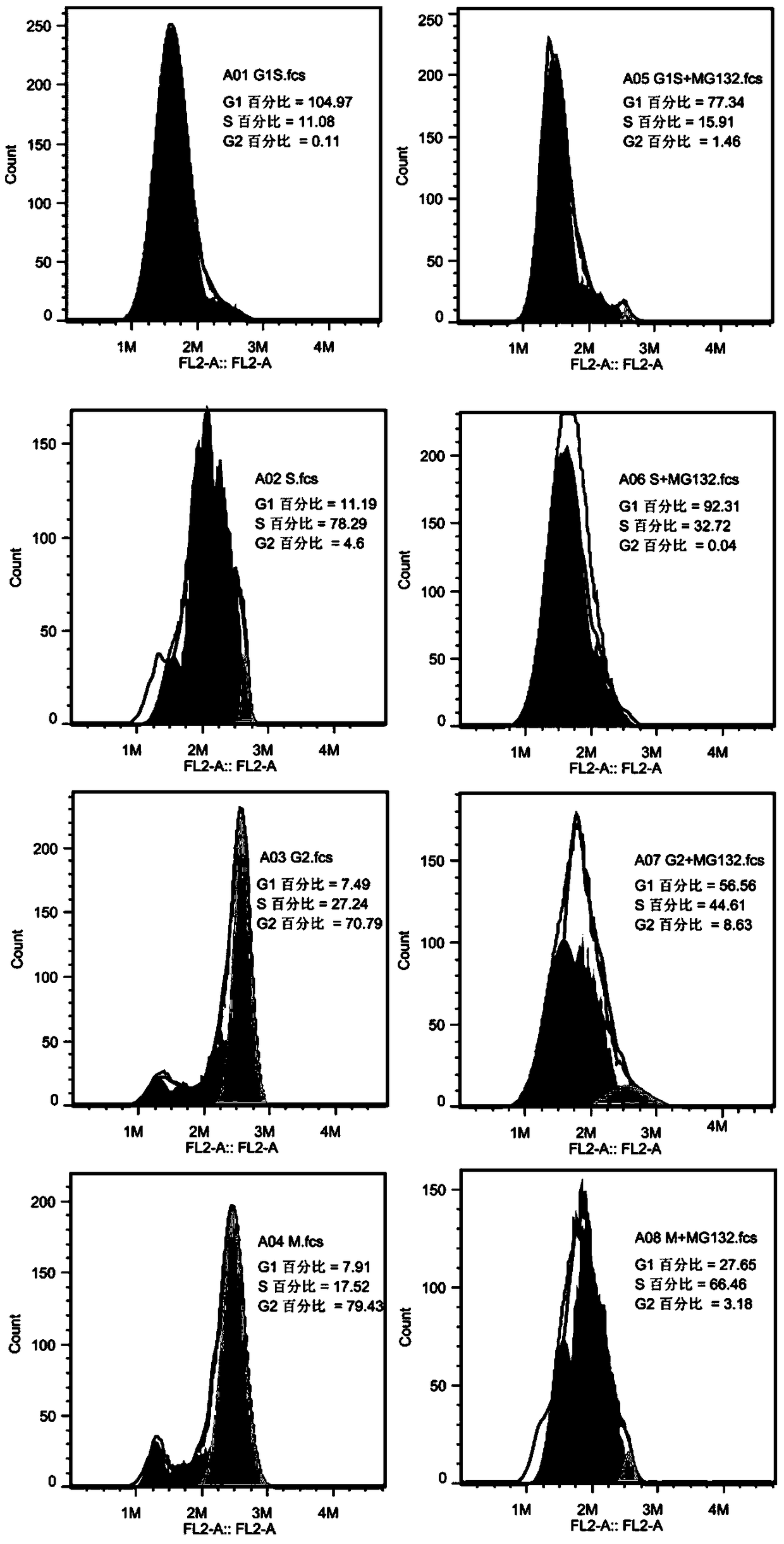 Application of kctd12 protein in cell cycle regulation