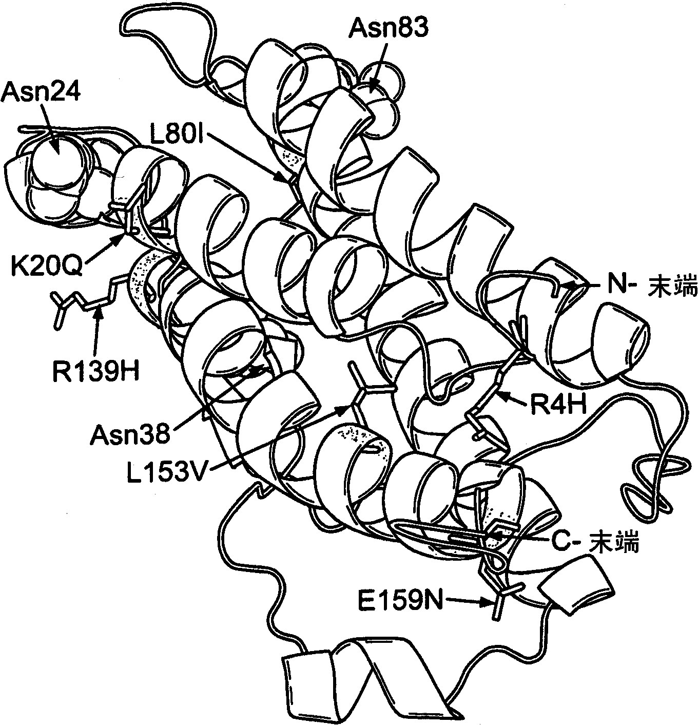 Modified erythropoietin (epo)polypeptides that exhibit increased protease resistance and pharmaceutical compositions thereof