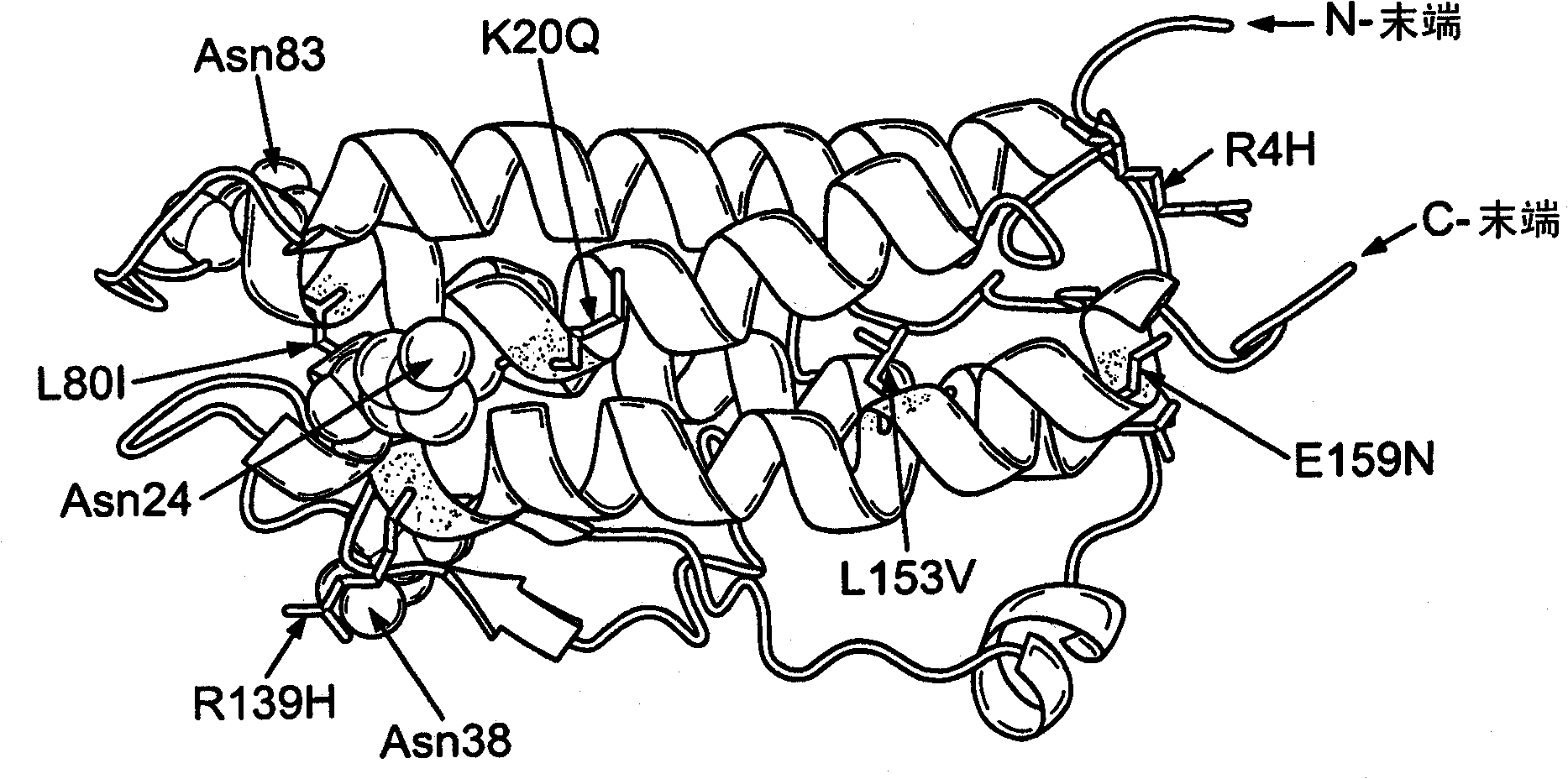 Modified erythropoietin (epo)polypeptides that exhibit increased protease resistance and pharmaceutical compositions thereof