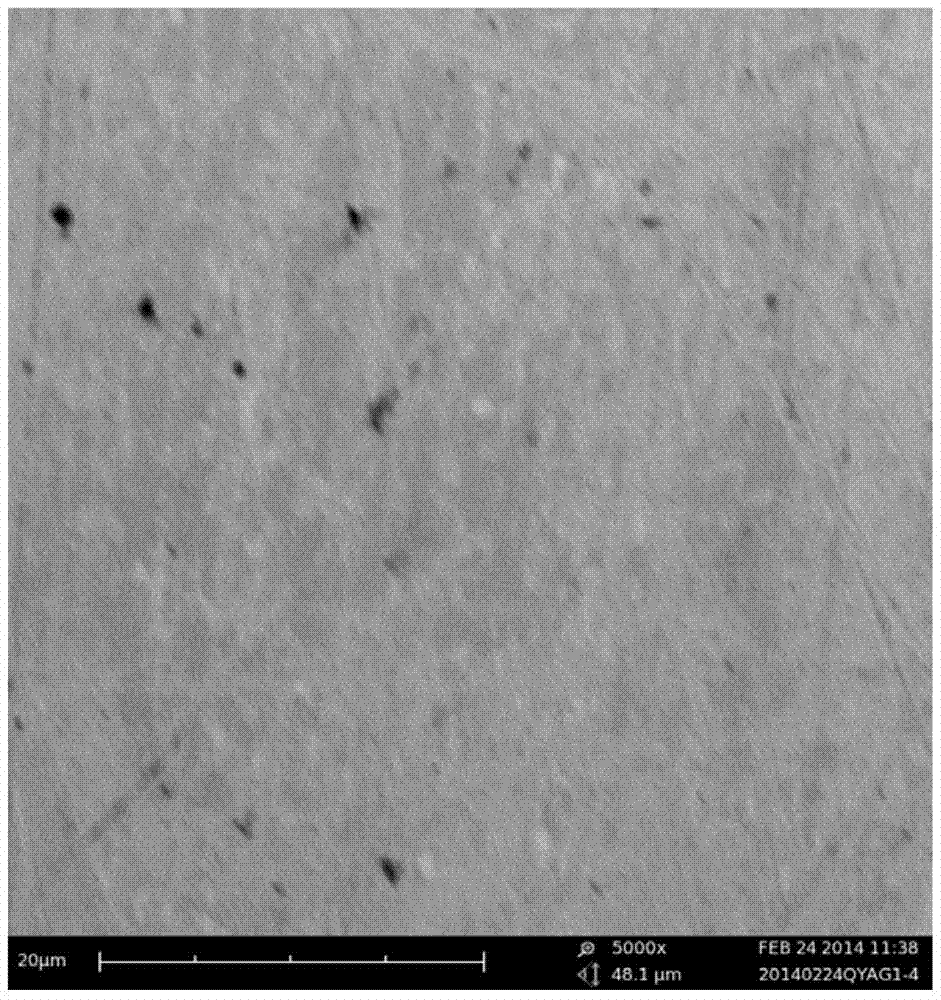 Method for preparing porous metal by using mixed gas