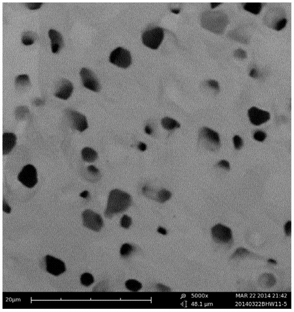 Method for preparing porous metal by using mixed gas