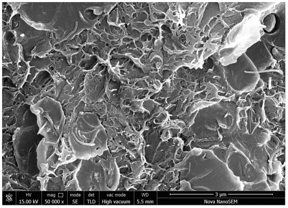 Polyethersulfone antistatic anticorrosive paint, and preparation method and application thereof