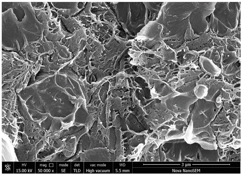 Polyethersulfone antistatic anticorrosive paint, and preparation method and application thereof