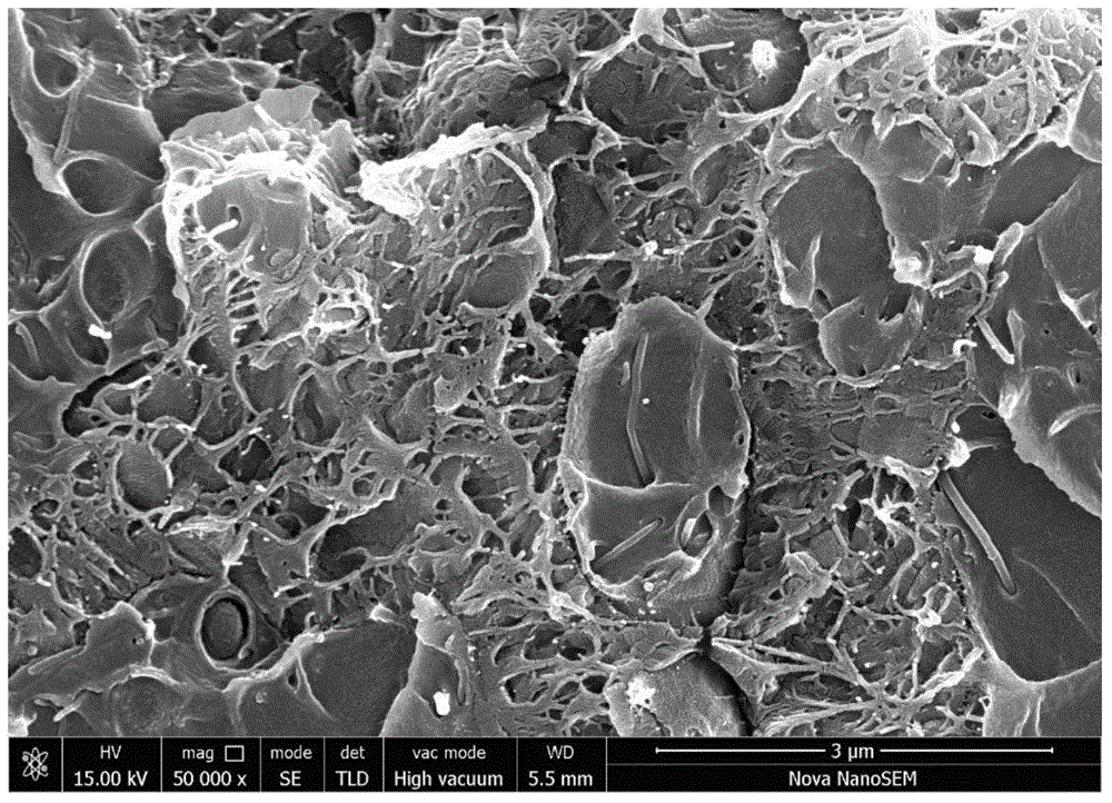 Polyethersulfone antistatic anticorrosive paint, and preparation method and application thereof