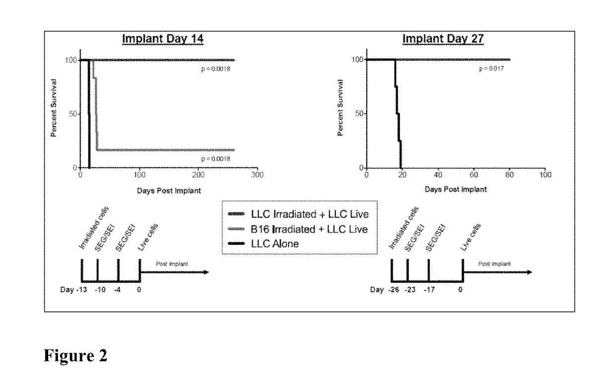 Compositions and methods for treatment of cancer