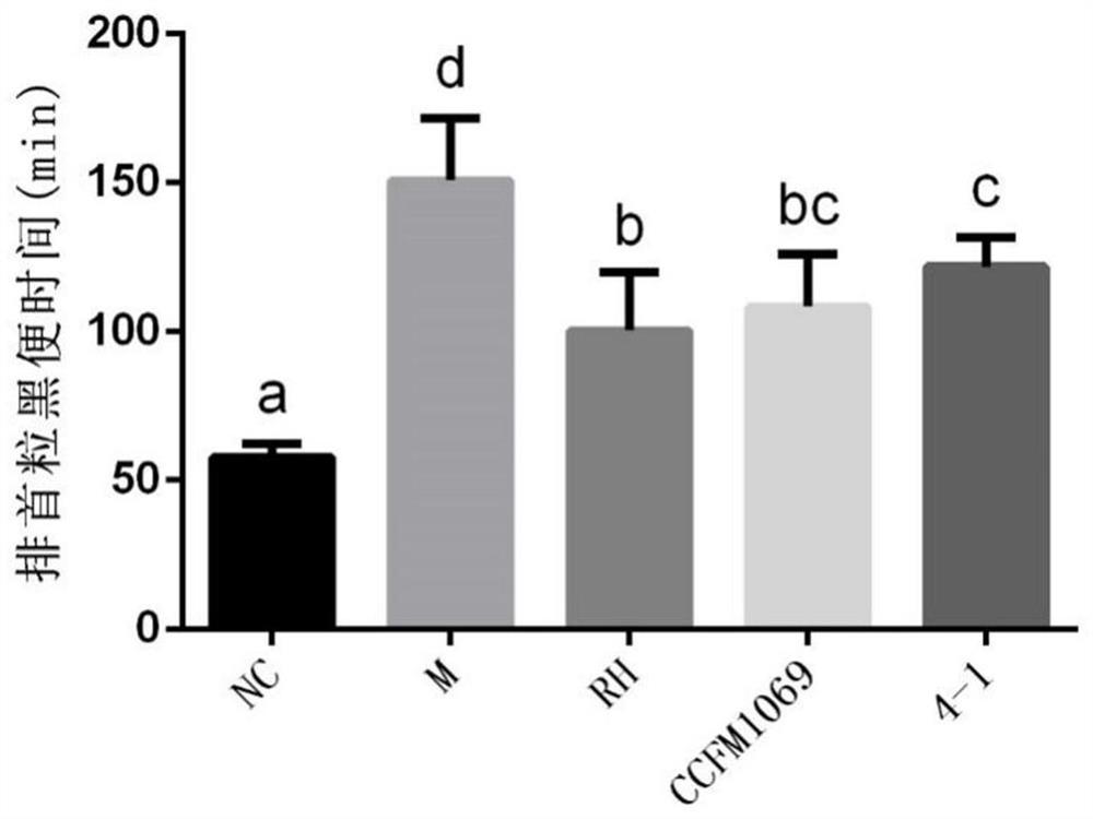 Lactobacillus paracasei ccfm1069 and its application