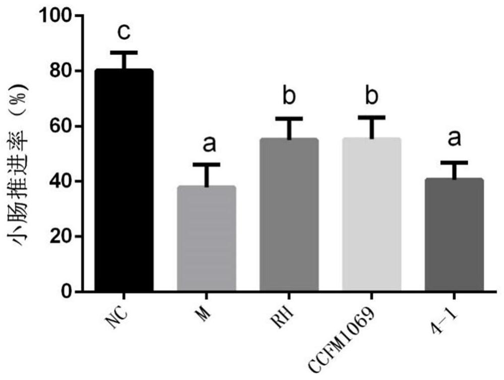 Lactobacillus paracasei ccfm1069 and its application