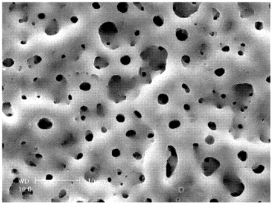 Preparation method of titanium surface porous structure layer bioactive ceramic membrane with low elasticity modulus