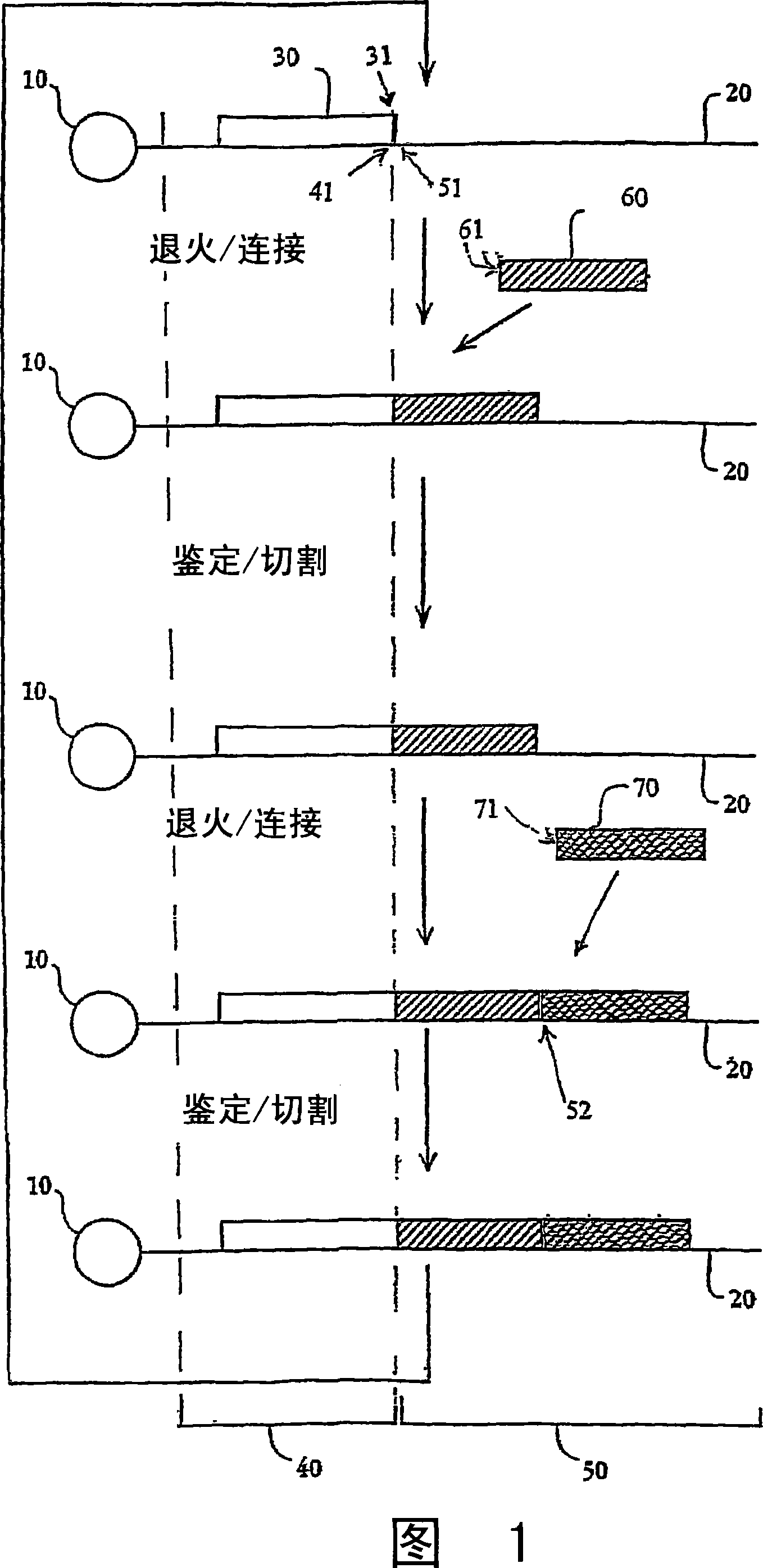 Reagents, methods, and libraries for bead-based sequencing