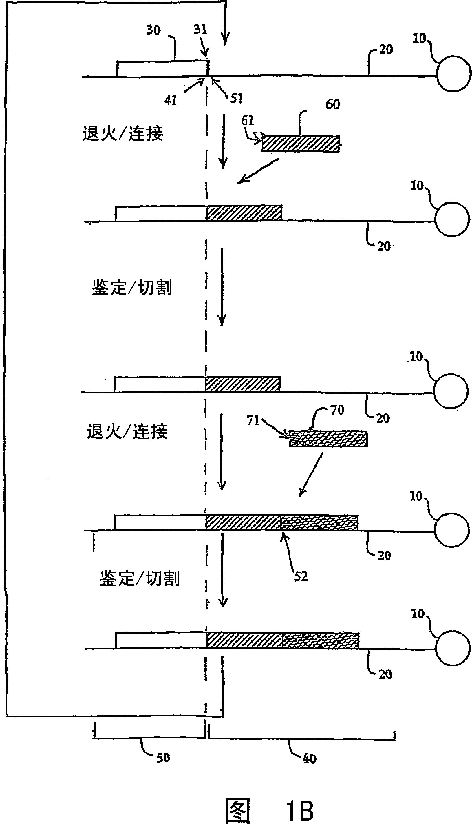 Reagents, methods, and libraries for bead-based sequencing