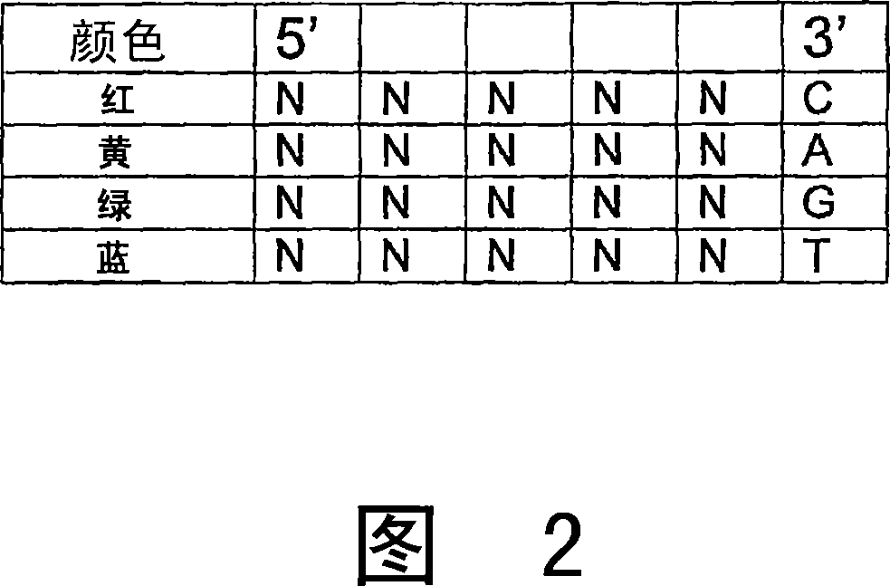 Reagents, methods, and libraries for bead-based sequencing