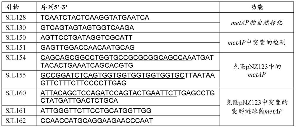 Lactic acid bacterium with a reduction of sensitivity to cos-type bacteriophages