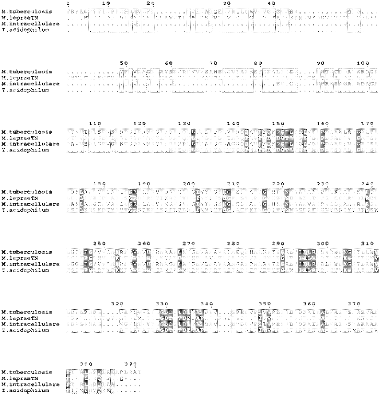 Expression and purification of mycobacterium tuberculosis trehalose-6-phosphate phosphatase otsb2 and the three-dimensional crystal structure of its complex with phosphate