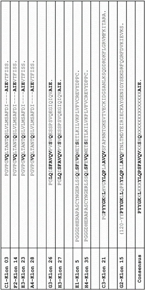 Cd44 binding peptides