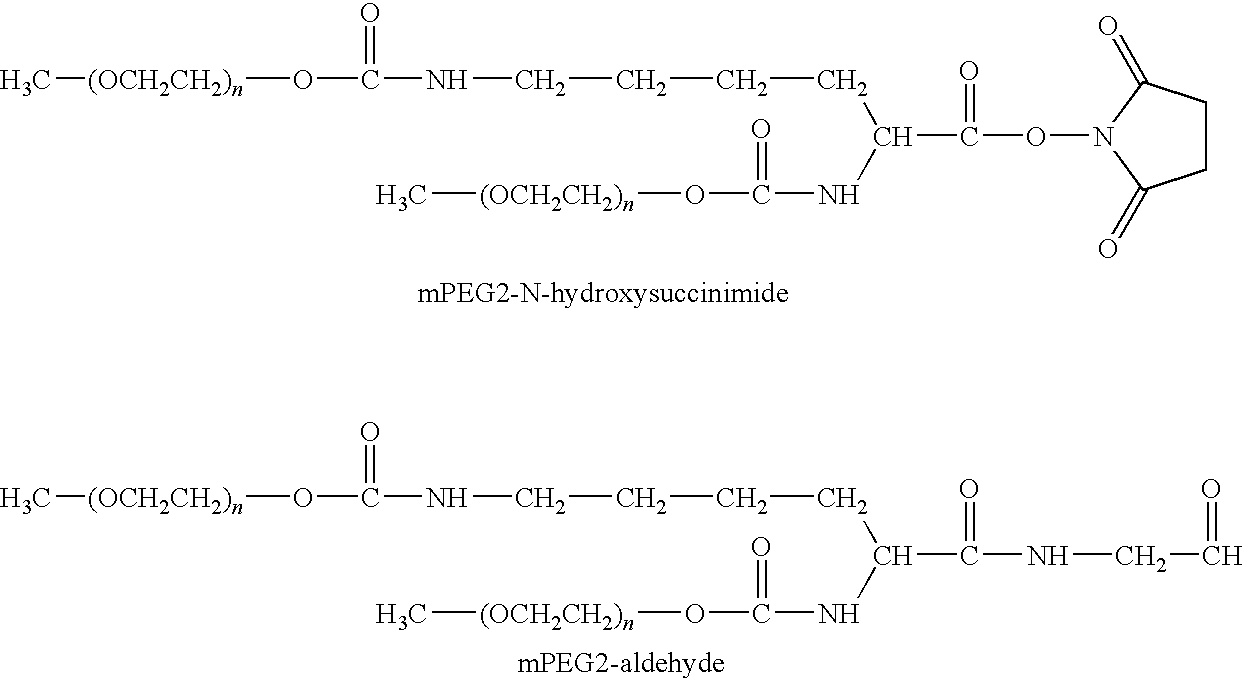 Segmented Degradable Polymers and Conjugates Made Therefrom