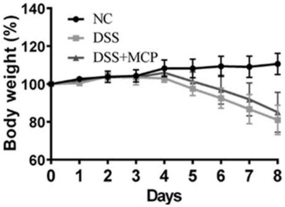 Application of momordica polysaccharide in preparation of medicine for treating ulcerative colitis and medicinal preparation thereof