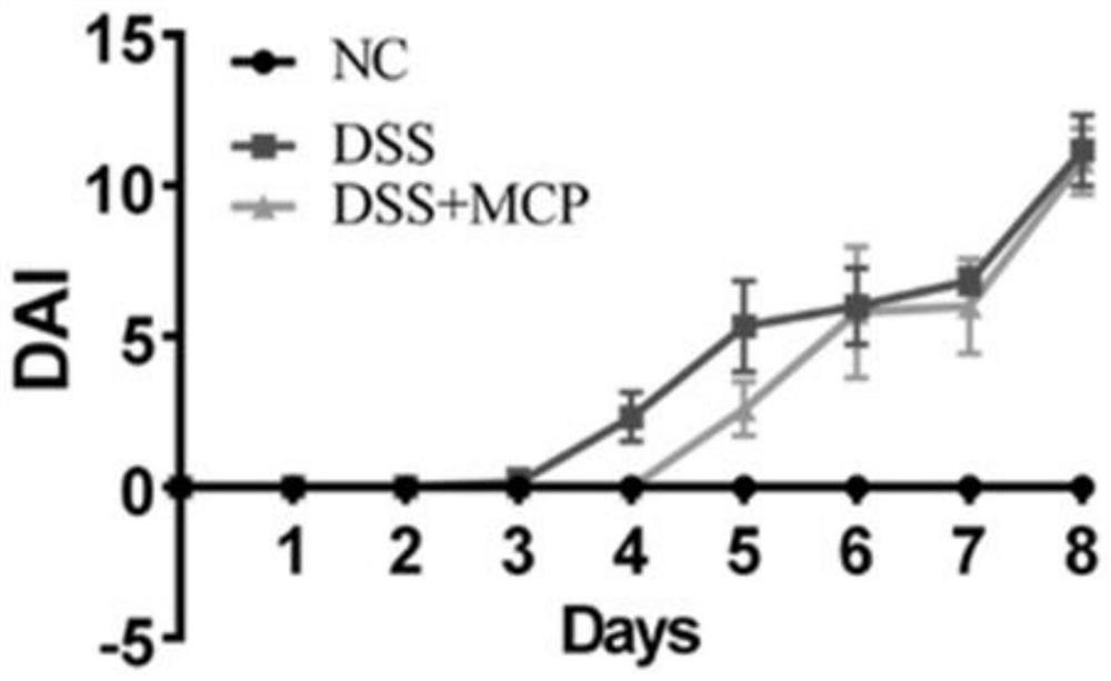 Application of momordica polysaccharide in preparation of medicine for treating ulcerative colitis and medicinal preparation thereof