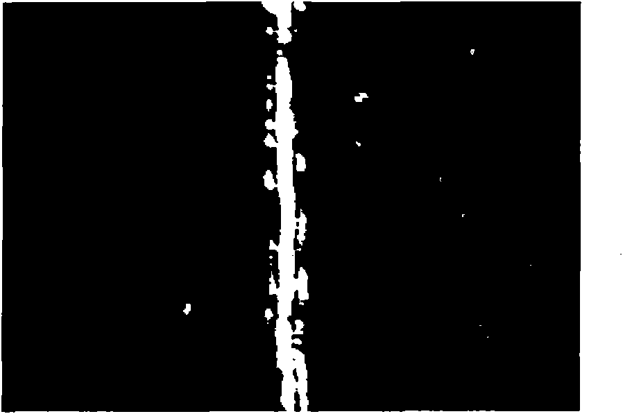 Method for evaluating brittle damage of electrode slice of lithium ion battery