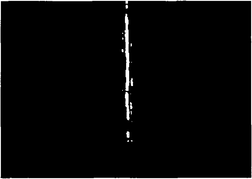 Method for evaluating brittle damage of electrode slice of lithium ion battery